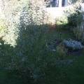2008-10-27_hausfotos-029.jpg